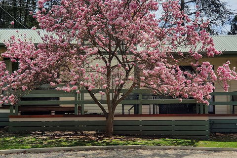 Annies Holiday Units - Accommodation Rockhampton 3