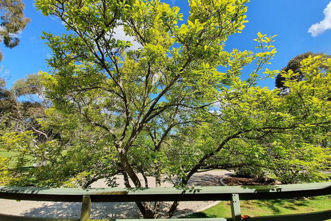 Annies Holiday Units - Accommodation Rockhampton 2