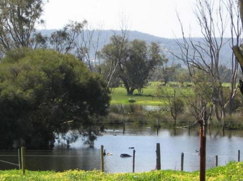 Armadale Farmstay Bed & Breakfast - Accommodation Rockhampton 4
