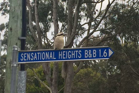 Sensational Heights Bed & Breakfast - Accommodation Rockhampton 2