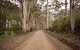 Sensational Heights Bed & Breakfast - thumb 1