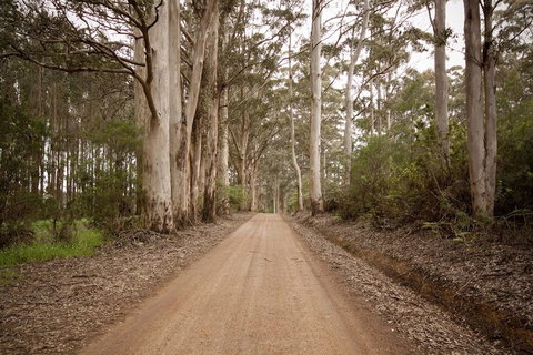 Sensational Heights Bed & Breakfast - Accommodation Rockhampton 1