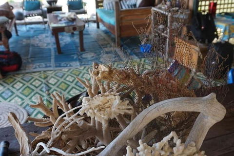 Bremer Island Banubanu Beach Retreat - Accommodation Rockhampton 5