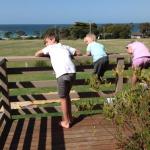 Beachend Bicheno - Accommodation Rockhampton 0