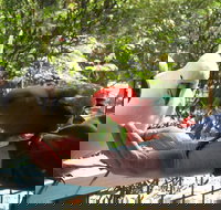 Lorne Bush House Cottages  Eco Retreats - Accommodation Rockhampton