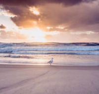 Blue Waters Motel - Accommodation Rockhampton