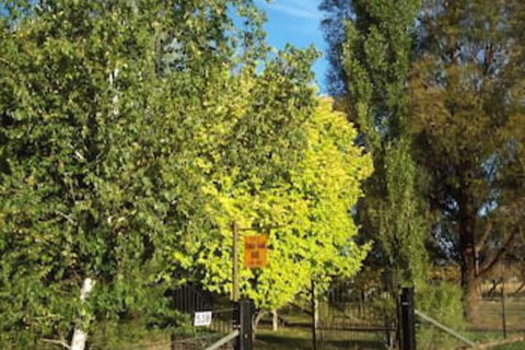 Ophir Gold Bed & Breakfast - Accommodation Rockhampton 2