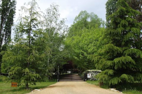 Ophir Gold Bed & Breakfast - Accommodation Rockhampton 0