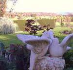Springbank Bed  Breakfast - Accommodation Rockhampton
