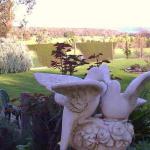 Springbank Bed & Breakfast - Accommodation Rockhampton 0
