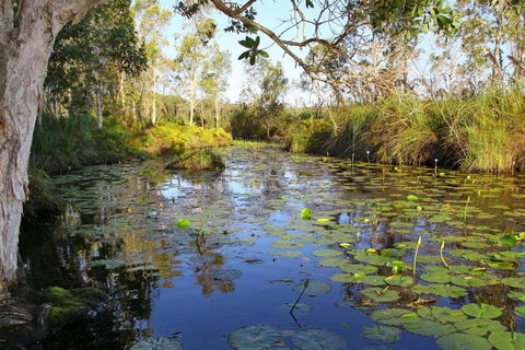 Salamander Bay Bed & Breakfast - Accommodation Rockhampton 3
