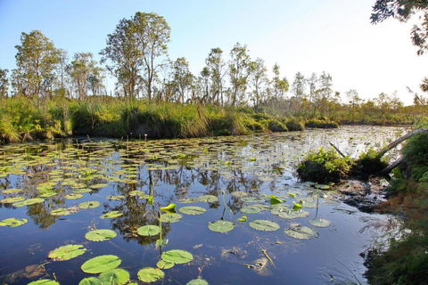 Salamander Bay Bed & Breakfast - Accommodation Rockhampton 4