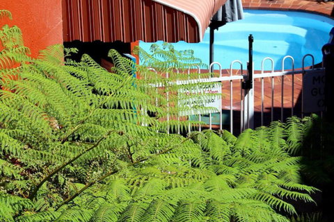 Matilda Motel - Accommodation Rockhampton 3