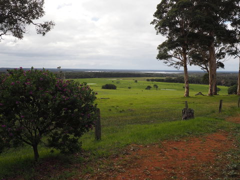 Augusta Sheoak Chalets - Accommodation Rockhampton 5