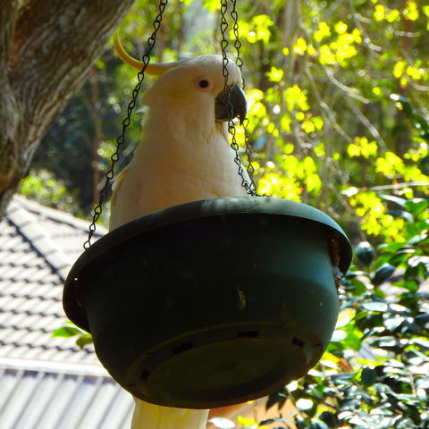 Bowral Road Bed And Breakfast - Accommodation Rockhampton 1