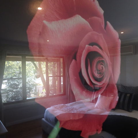 Bowral Road Bed And Breakfast - Accommodation Rockhampton 5