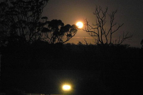 Scarlet Woods Chalets - Accommodation Rockhampton 2