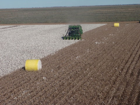 Corynnia Station - Accommodation Rockhampton 1