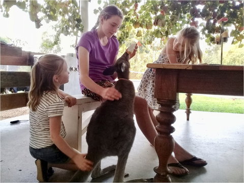 Corynnia Station - Accommodation Rockhampton 2