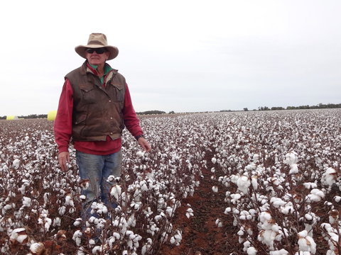 Corynnia Station - Accommodation Rockhampton 5