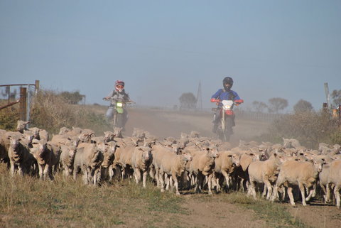 Corynnia Station - Accommodation Rockhampton 4