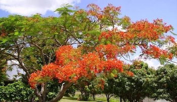 Chatsworth QLD Accommodation Rockhampton
