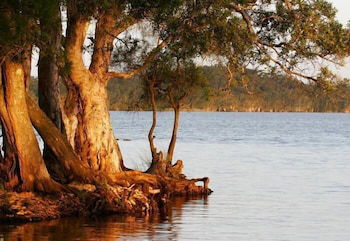 NRMA Myall Shores Holiday Park - Accommodation Rockhampton 2