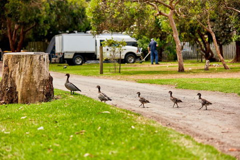 Kennett River Family Caravan Park - Accommodation Rockhampton 5