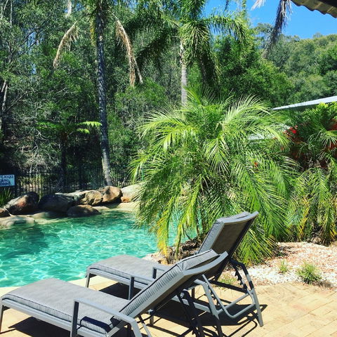Bluegums Cabins Barrington Tops - Accommodation Rockhampton 2