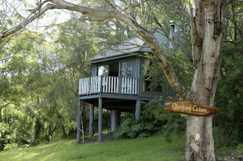 Bluegums Cabins Barrington Tops - Accommodation Rockhampton 1