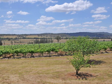 Beggars Bridge Vineyard Homestead W / Pool + Wifi + Tennis + Vineyard - Accommodation Rockhampton 2