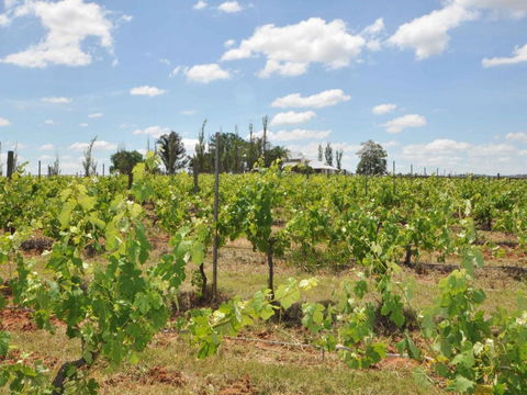 Beggars Bridge Vineyard Homestead W / Pool + Wifi + Tennis + Vineyard - Accommodation Rockhampton 1