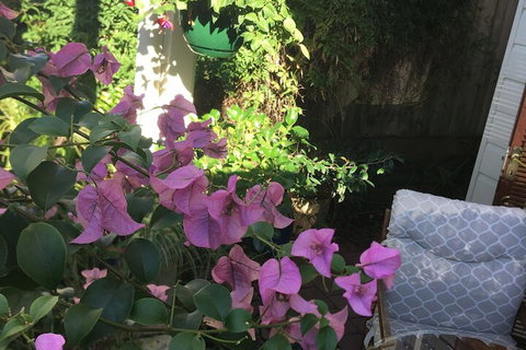 Swan Inn Bed & Breakfast - Accommodation Rockhampton 6