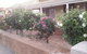 My Nanna's Place - thumb 5