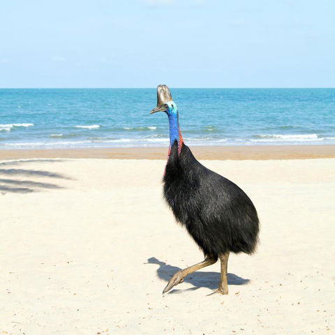 Ocean Serenity - Accommodation Rockhampton 3