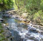 Tallaringa Views - Accommodation Rockhampton
