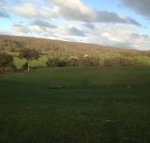 Mancuso Country Cottage Retreat - Accommodation Rockhampton