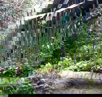 Lemonade Creek Cottages - Accommodation Rockhampton