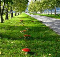 Plovers Ridge Country Retreat - Accommodation Rockhampton