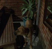 Biff's Bar and Grill - Accommodation Rockhampton