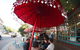 Babaji's Kitchen - thumb 0