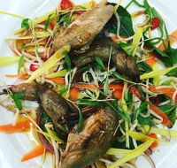 Tuileries Restaurant - Accommodation Rockhampton