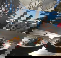 Mudcat - Accommodation Rockhampton