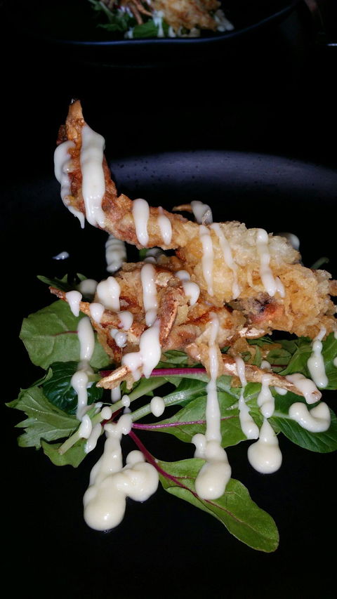 Chilli Orange - Accommodation Rockhampton 5