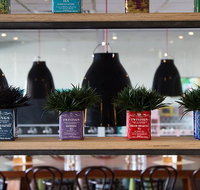 Collegians Balgownie - Accommodation Rockhampton