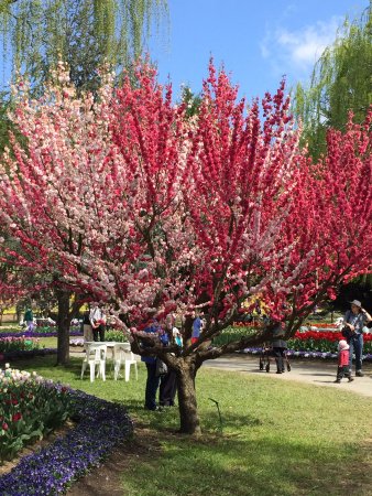 Ngunnawal ACT Accommodation Rockhampton