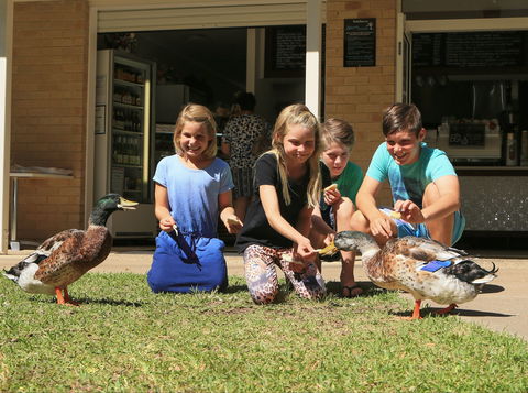 Arkarra Gardens Cafe And Restaurant - Accommodation Rockhampton 2