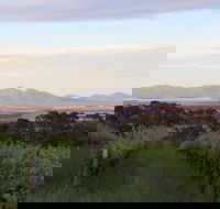 Castle Rock Estate Winery - Accommodation Rockhampton