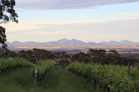 Castle Rock Estate Winery - Accommodation Rockhampton 0