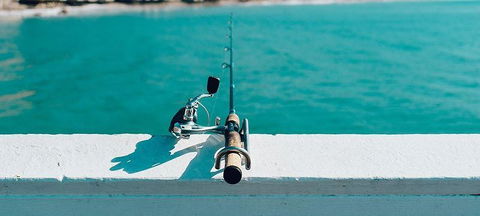 On The Inlet Seafood Restaurant - Accommodation Rockhampton 2